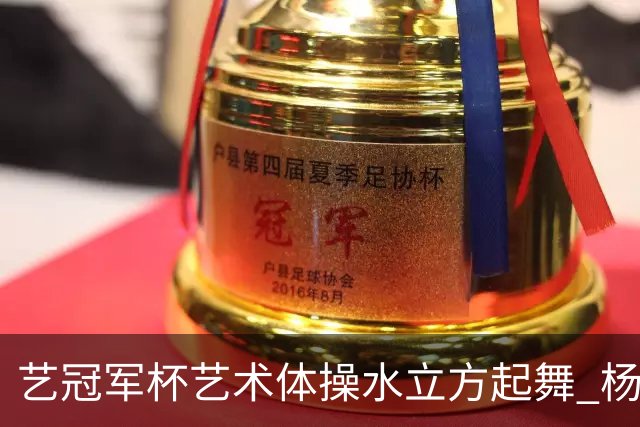 艺冠军杯艺术体操水立方起舞 杨凌赵蕊蕊道贺